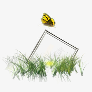 草丛中的蝴蝶和相框psd免抠素材_新图网 https://ixintu.com 相框 草丛 蝴蝶