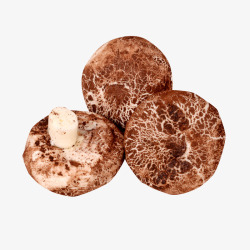 特色包子素材蘑菇包肉包子特色包子高清图片