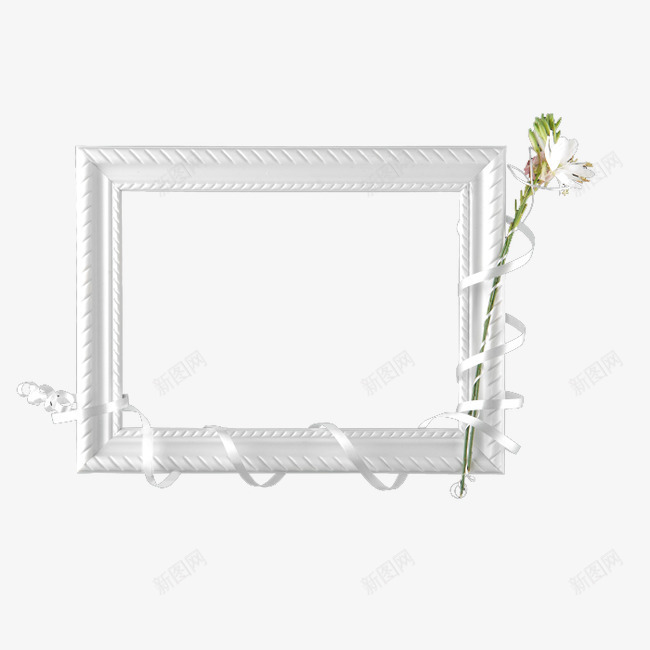 相框架png免抠素材_新图网 https://ixintu.com 植物 白色 花朵