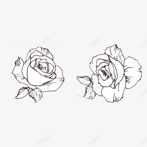 两朵白玫瑰图标png_新图网 https://ixintu.com 手绘 爱情 爱没有距离 白玫瑰 白玫瑰手绘 白色 盛开 绿色 美丽 高洁