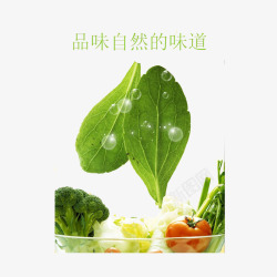 绿色无污染蔬菜素材