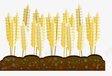 黄色麦子png免抠素材_新图网 https://ixintu.com 农作物 卡通 大棚蔬菜 麦穗