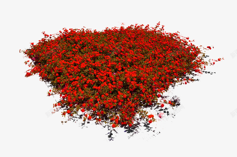红色大气花园装饰图案png免抠素材_新图网 https://ixintu.com 免抠PNG 大气 红色 花园 装饰图案