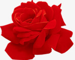 盛开红色玫瑰素材