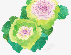 水彩花卉家纺装饰图素材