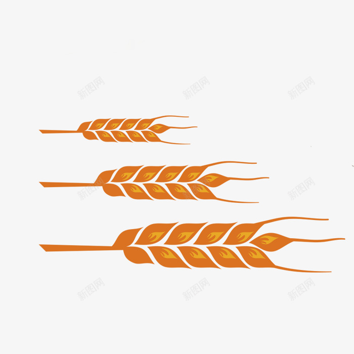 橙色麦穗png免抠素材_新图网 https://ixintu.com 三棵 卡通 手绘 桔梗 橙色 简图 麦穗