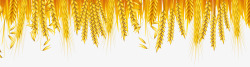 金黄麦穗装饰背景边框素材