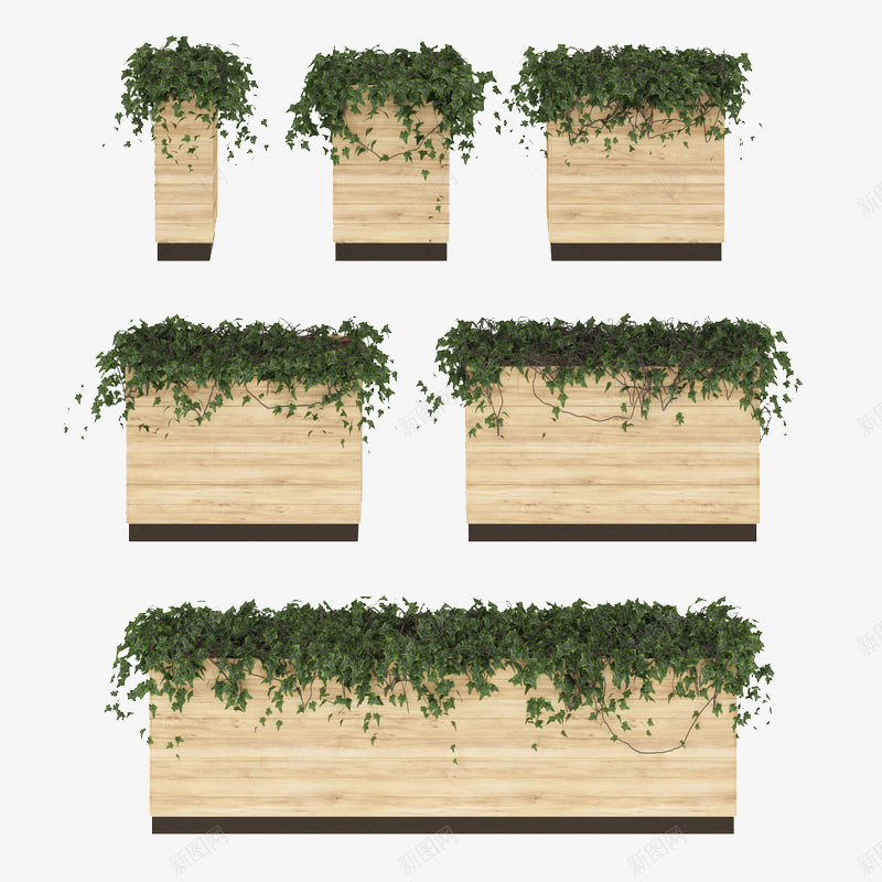 大小多排叶子垂吊植物png免抠素材_新图网 https://ixintu.com 垂吊植物 多排植物 大小多排叶子垂吊植物 植物 绿色叶子 绿色植物