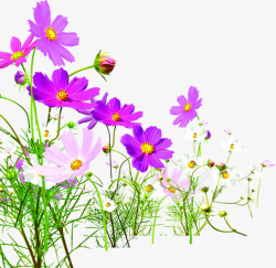 紫色卡通手绘户外花朵素材