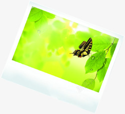 手绘植物绿色卡通相框相片素材