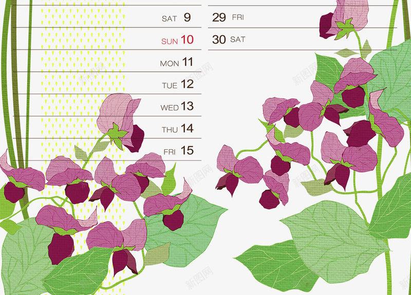 五月日历背景花纹模板png图片免费下载 素材0xvugkgev 新图网