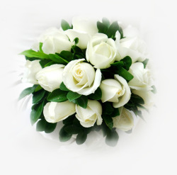 白色花朵纯洁寓意素材