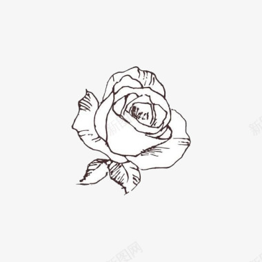 一朵白玫瑰图标图标
