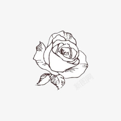 一朵玫瑰一朵白玫瑰图标高清图片