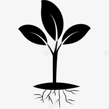 植物的根图标图标