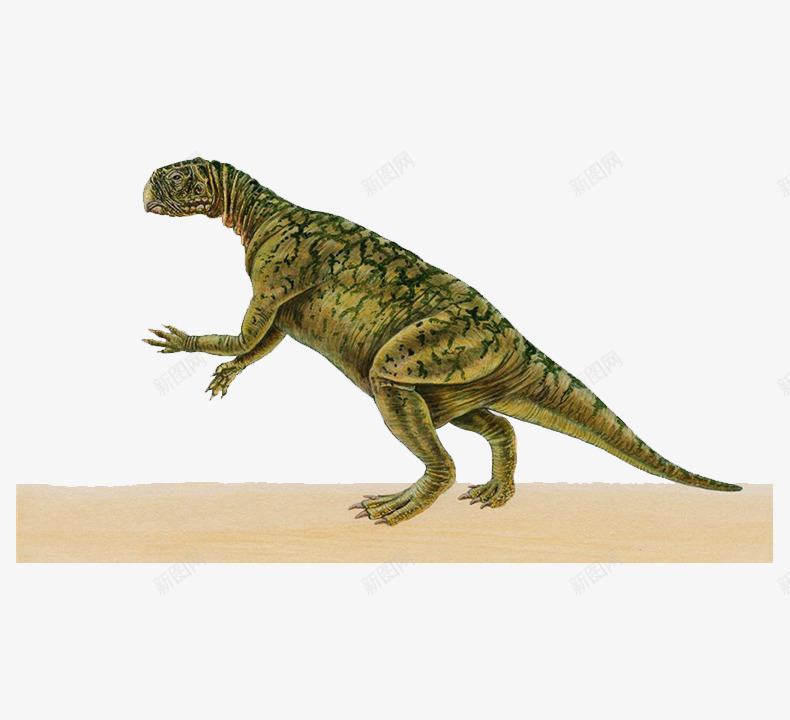 青色黑色纹理的恐龙png免抠素材_新图网 https://ixintu.com 侏罗纪 动物 恐龙 青色 黑色纹理