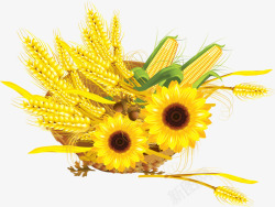 麦穗玉米向日葵素材