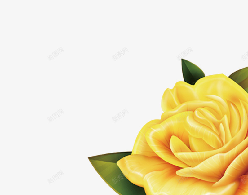简约创意黄色花朵png免抠素材_新图网 https://ixintu.com 玫瑰花 盛开花朵 花朵 花花 黄玫瑰