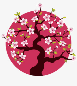 盛开的樱花树盛开的粉色樱花树高清图片