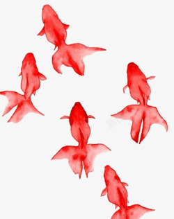 小红鱼红色锦鲤高清图片