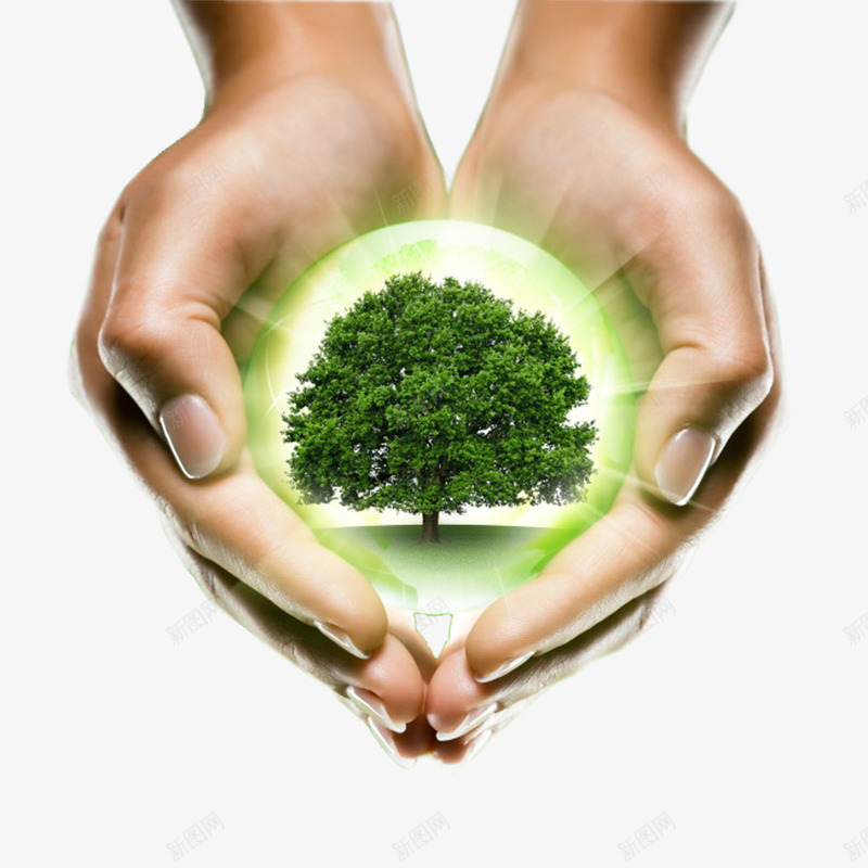 手捧绿色发光的树木png免抠素材_新图网 https://ixintu.com 双手 发光的树木 手捧 树木 爱护树木 绿色树木