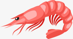 红色鲜虾可爱红色鲜虾高清图片