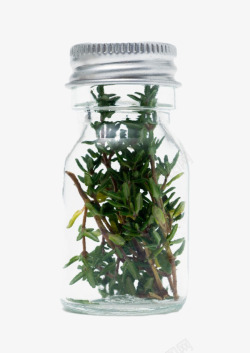 瓶内绿色干草植物高清图片