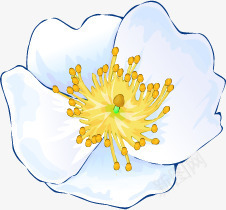 手绘盛开的白色花朵七夕情人节png免抠素材_新图网 https://ixintu.com 情人 白色 盛开 花朵
