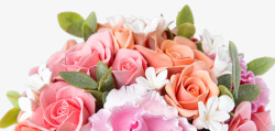 春天多彩玫瑰花装饰素材