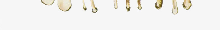 卡通黄色香菇png免抠素材_新图网 https://ixintu.com 植物 生态农业 菌类植物 蘑菇 食材 香菇