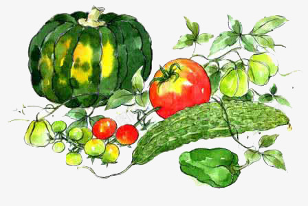 彩绘蔬菜png免抠素材_新图网 https://ixintu.com 南瓜 手绘 红色 绿色 苦瓜 蔬菜 西红柿 黄色