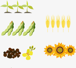 葵花种子手绘农作物高清图片