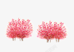 盛开的梅花树素材