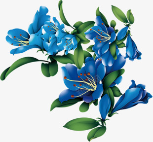 蓝色盛开花朵绿色叶子png免抠素材_新图网 https://ixintu.com 叶子 盛开 绿色 花朵 蓝色
