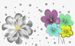 花卉状花朵高清图片
