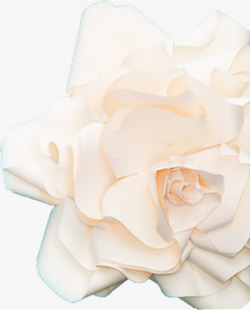 白色纯净花朵图案素材