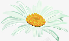 白色纯洁花朵盛开png免抠素材_新图网 https://ixintu.com 白色 盛开 纯洁 花朵