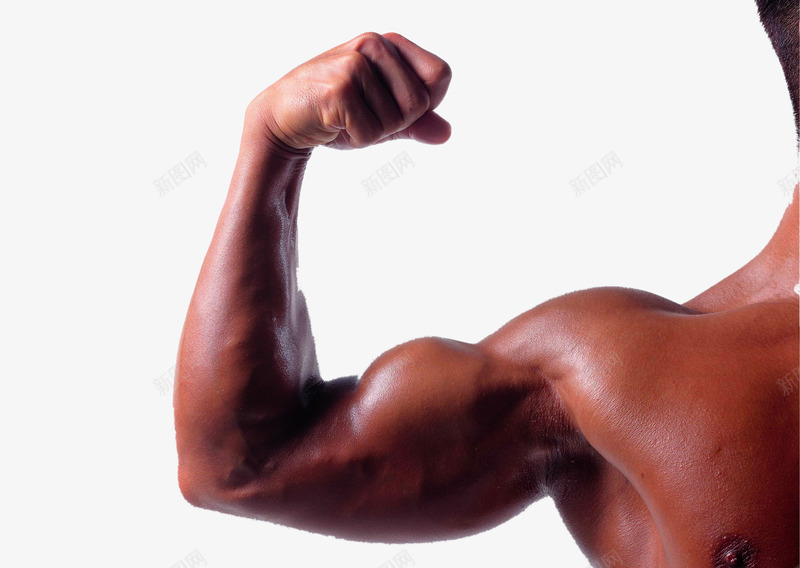 健壮的肌肉手臂png免抠素材_新图网 https://ixintu.com 健壮 健壮身材 健身 手臂 拳头 肌肉 运动