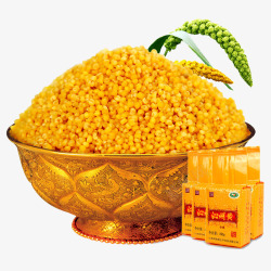 沁州黄玉米粒素材