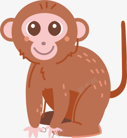 蹲坐的猴子可爱的小猴子高清图片