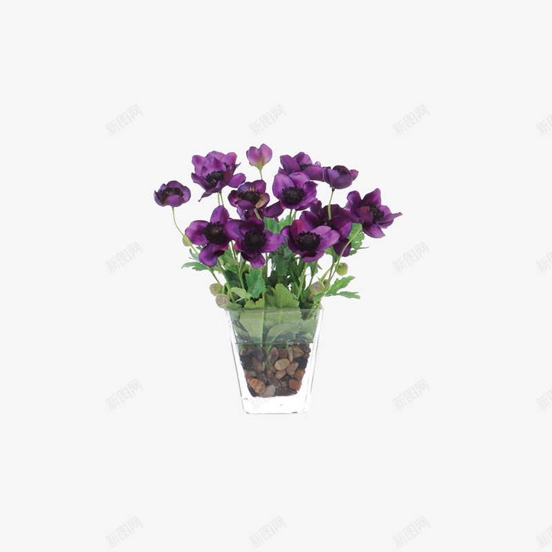 室内装饰花瓶png免抠素材_新图网 https://ixintu.com 室内装饰 小清新 植物 花瓶