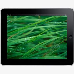 iPad景观草背景图标png_新图网 https://ixintu.com background computer grass hardware ipad landscape tablet 平板电脑 景观 电脑 硬件 背景 草
