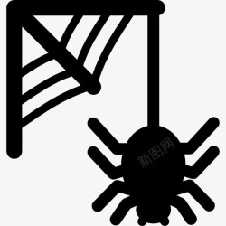 阴森恐怖蛛网和蜘蛛图标高清图片