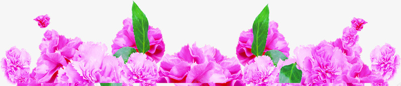 紫色卡通花朵植物母亲节png免抠素材_新图网 https://ixintu.com 卡通 植物 母亲节 紫色 花朵 设计