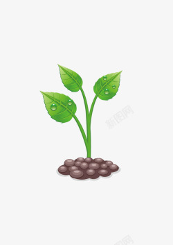 生长植物素材