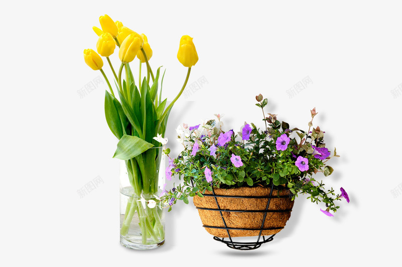 室内花卉png免抠素材_新图网 https://ixintu.com 花瓶 花篮 观赏植物