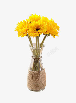 金黄色植物花朵花瓶素材