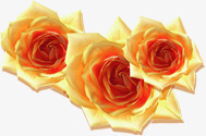 黄红色玫瑰花朵素材