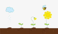 小蜜蜂与植物生长过程素材