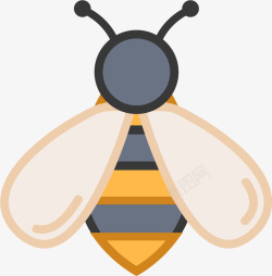 蜜蜂蜂毒粉红蜜蜂矢量图高清图片